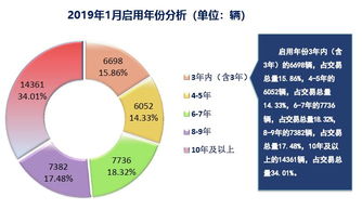 199it 互聯網數據資訊中心與專業數據服務解析
